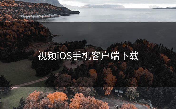 视频iOS手机客户端下载