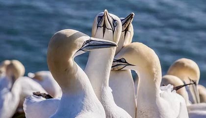 心碎!冷门真相终于有人说出,真相难以接受,冷门有哪些