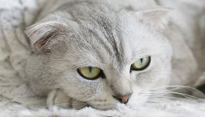 海角论坛快速上手