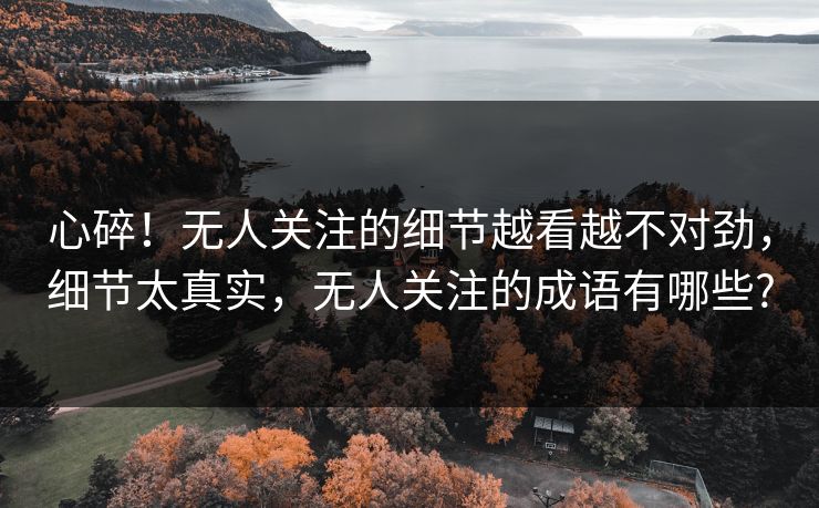 心碎!无人关注的细节越看越不对劲,细节太真实,无人关注的成语有哪些?