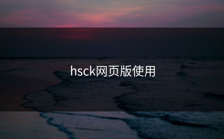 hsck网页版使用