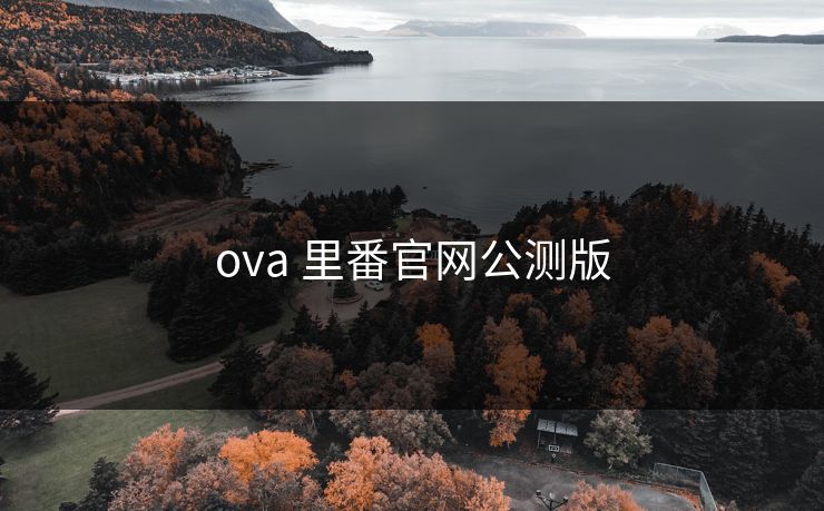 ova 里番官网公测版 ova 里番官网公测版