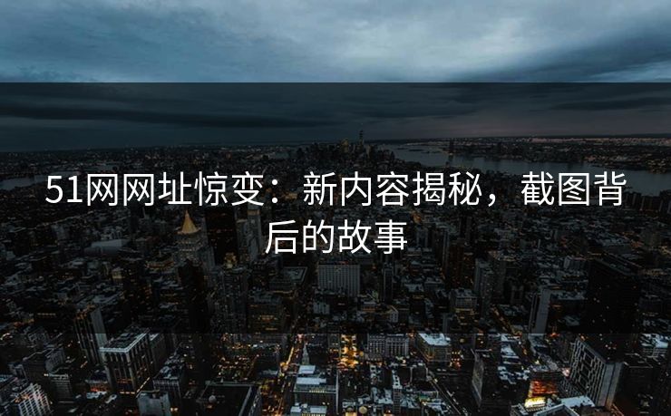 51网网址惊变：新内容揭秘，截图背后的故事